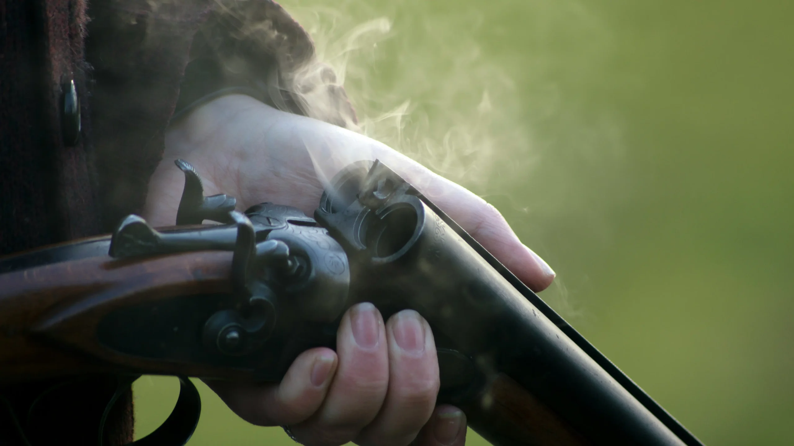 Image of a Shotgun - Firearm Safety Article